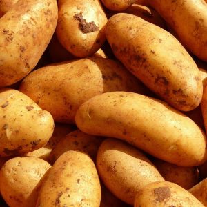 15/09/2024 – FÊTE de la PATATE de MOLLES